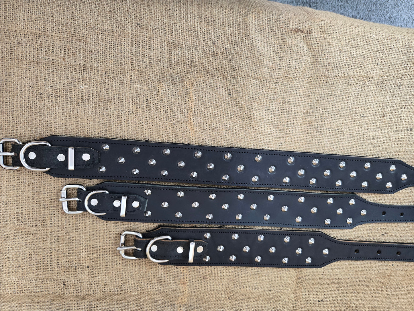 Dog Collars Leather STUDDED - 50mm Black or Brown